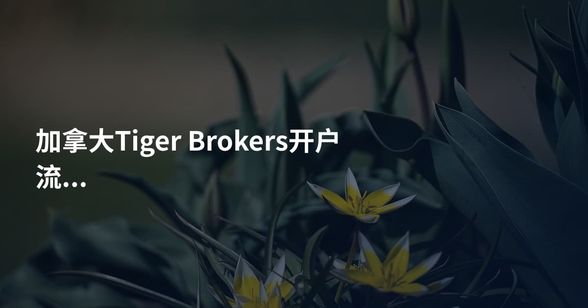 加拿大Tiger Brokers开户流程