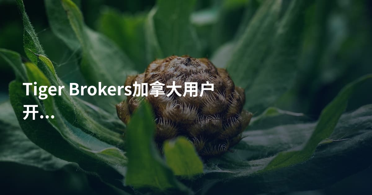 Tiger Brokers加拿大用户开户流程