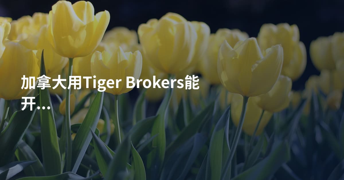 加拿大用Tiger Brokers能开户吗