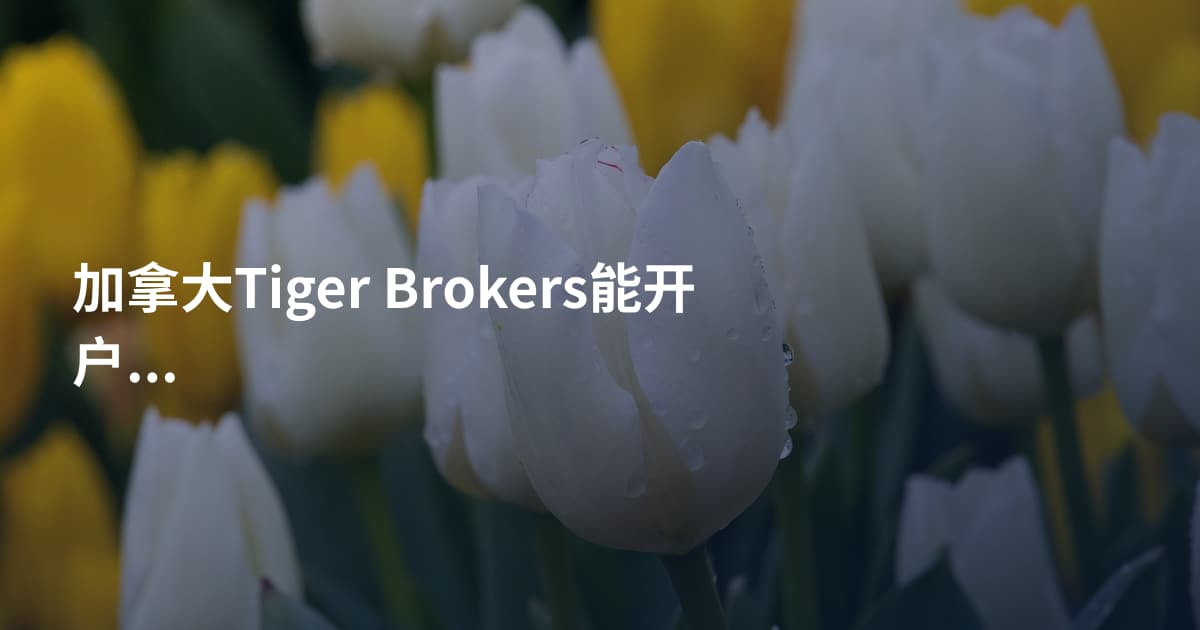 加拿大Tiger Brokers能开户吗