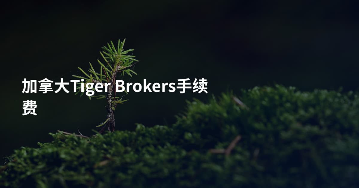 加拿大Tiger Brokers手续费