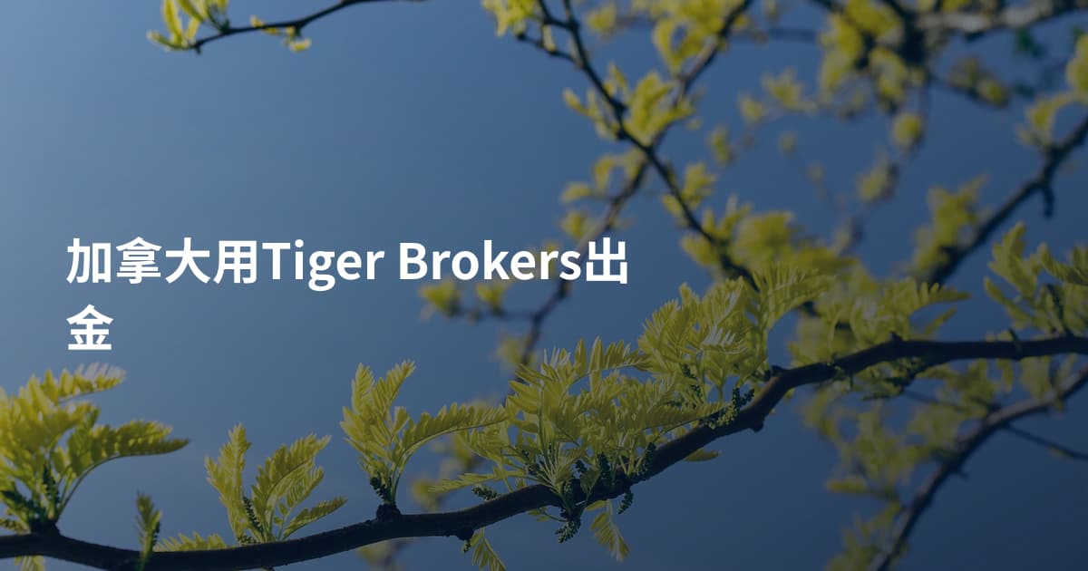 加拿大用Tiger Brokers出金