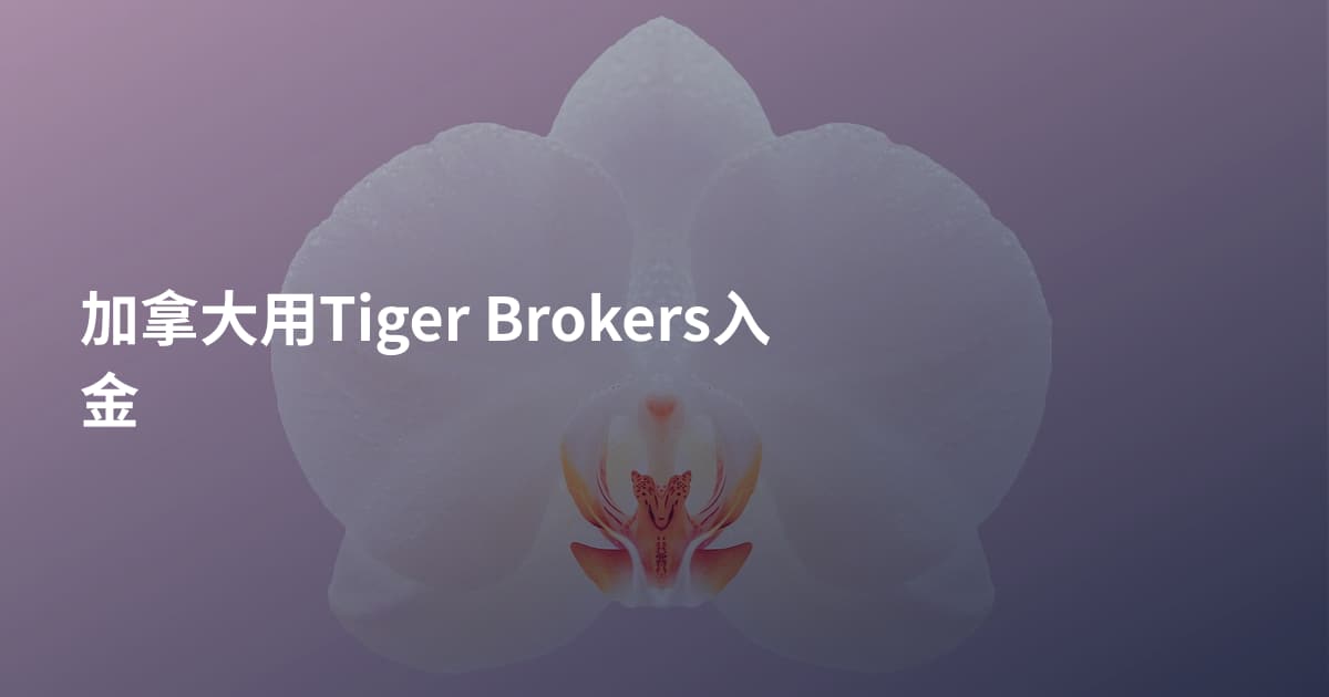 加拿大用Tiger Brokers入金