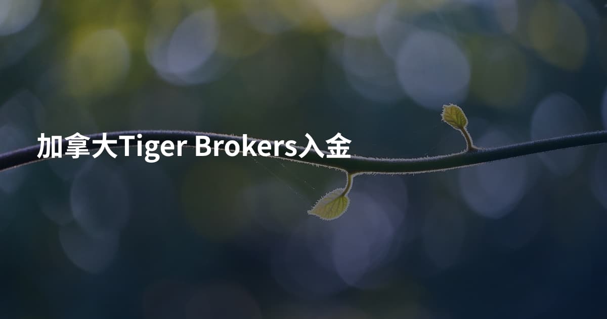 加拿大Tiger Brokers入金