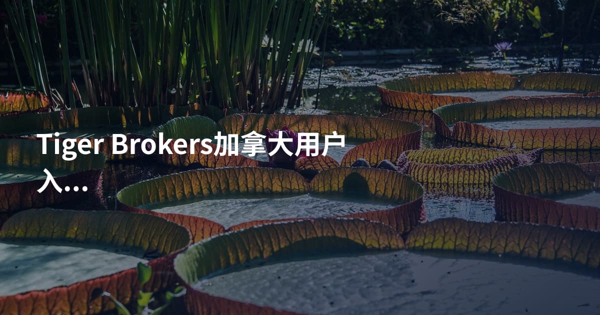 Tiger Brokers加拿大用户入金