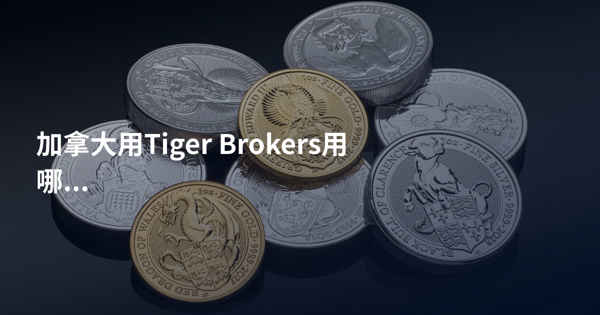 加拿大用Tiger Brokers用哪个平台