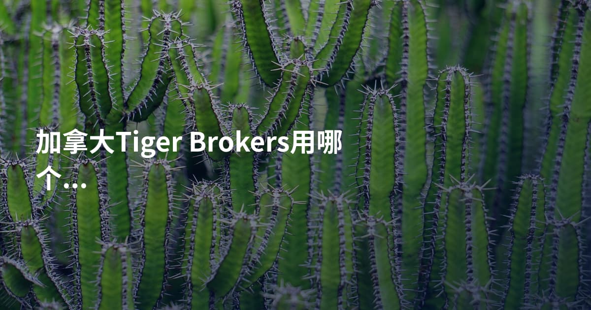 加拿大Tiger Brokers用哪个平台