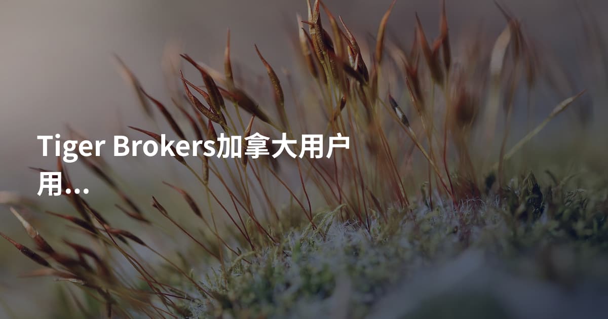 Tiger Brokers加拿大用户用哪个平台