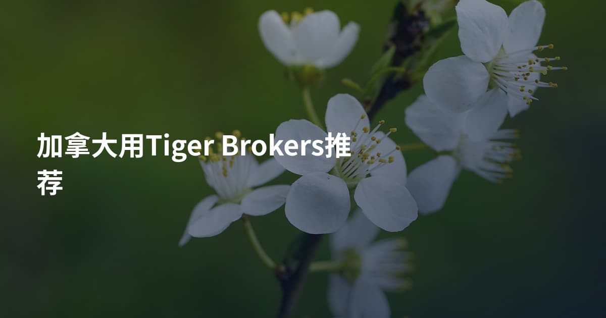 加拿大用Tiger Brokers推荐