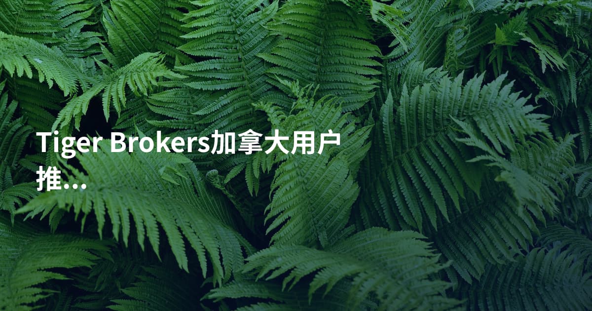 Tiger Brokers加拿大用户推荐
