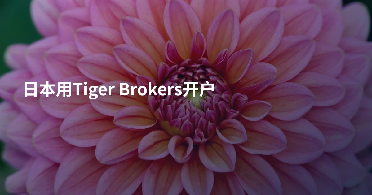 日本用Tiger Brokers开户