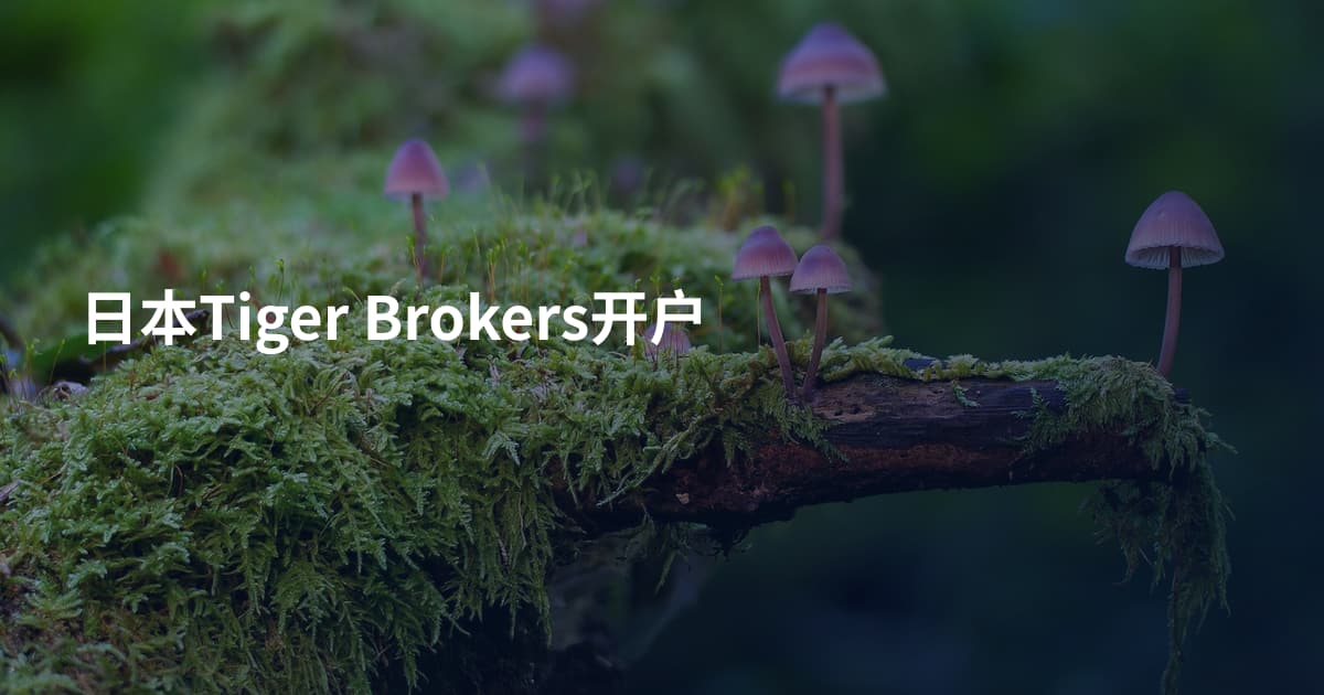 日本Tiger Brokers开户