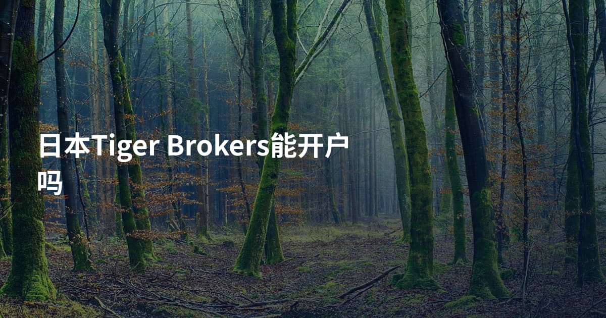日本Tiger Brokers能开户吗