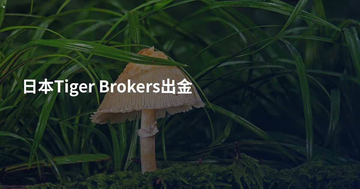 日本Tiger Brokers出金