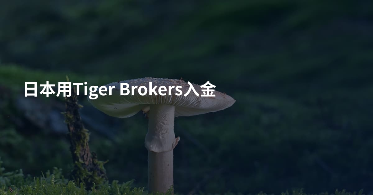 日本用Tiger Brokers入金