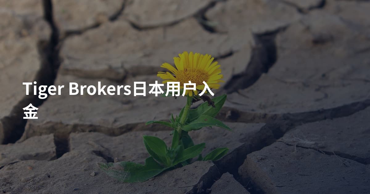 Tiger Brokers日本用户入金