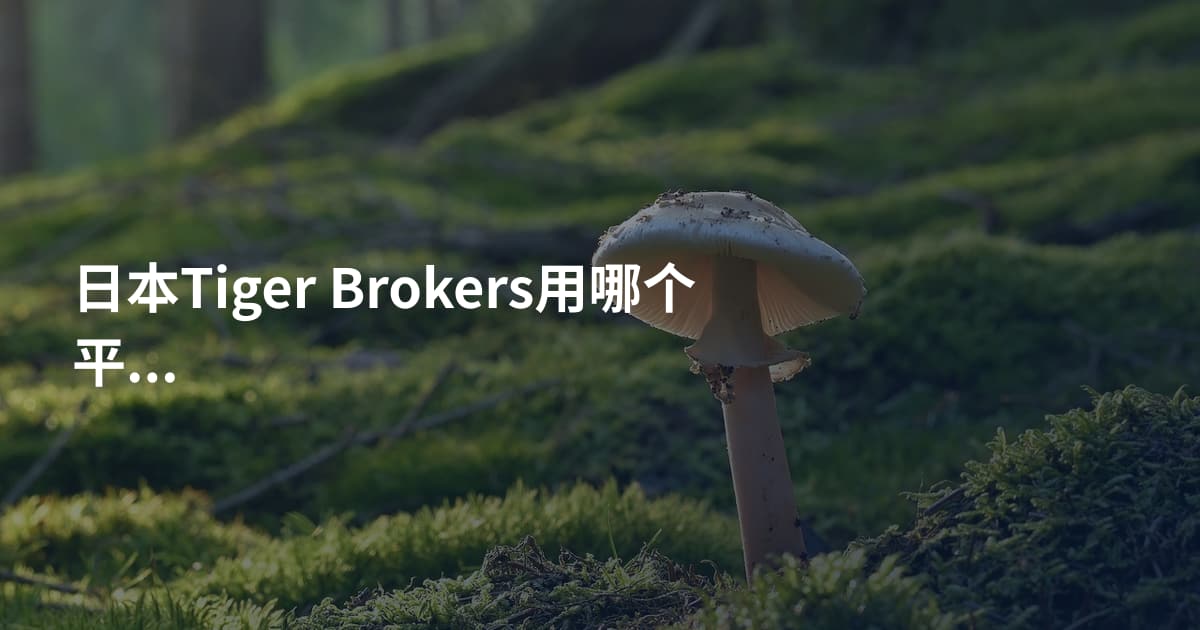 日本Tiger Brokers用哪个平台