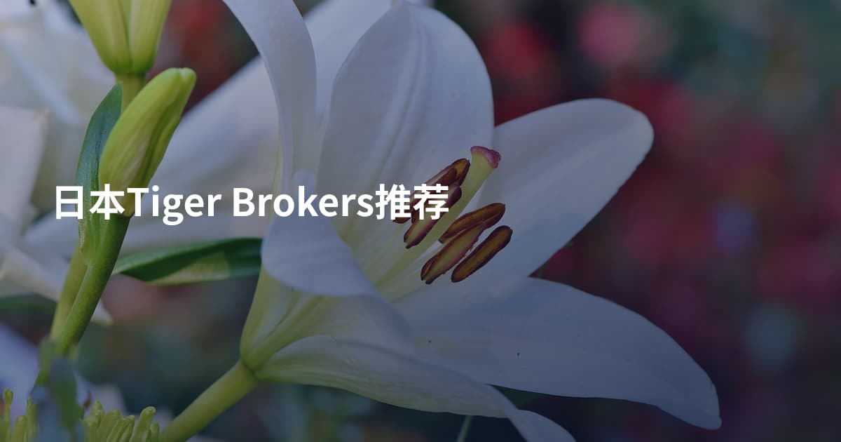 日本Tiger Brokers推荐