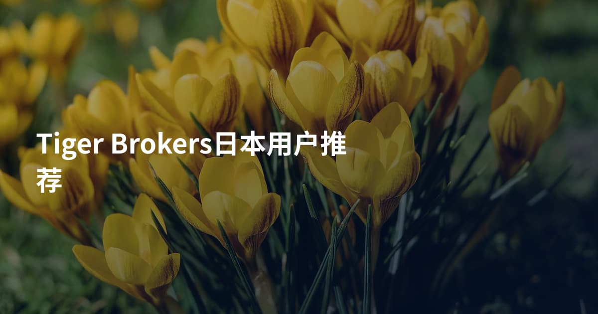 Tiger Brokers日本用户推荐