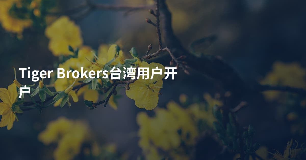 Tiger Brokers台湾用户开户