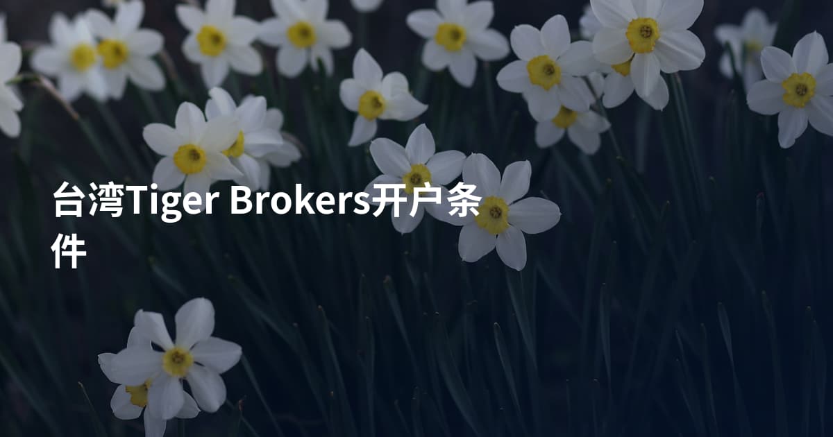 台湾Tiger Brokers开户条件