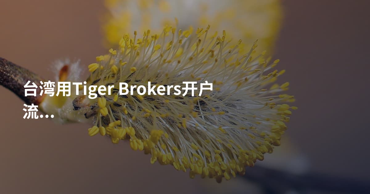 台湾用Tiger Brokers开户流程