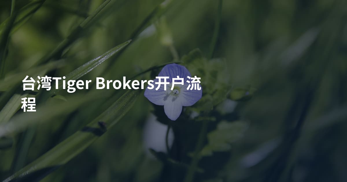 台湾Tiger Brokers开户流程