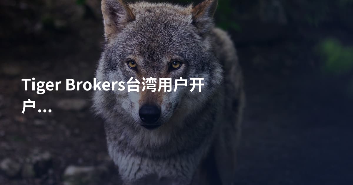 Tiger Brokers台湾用户开户流程