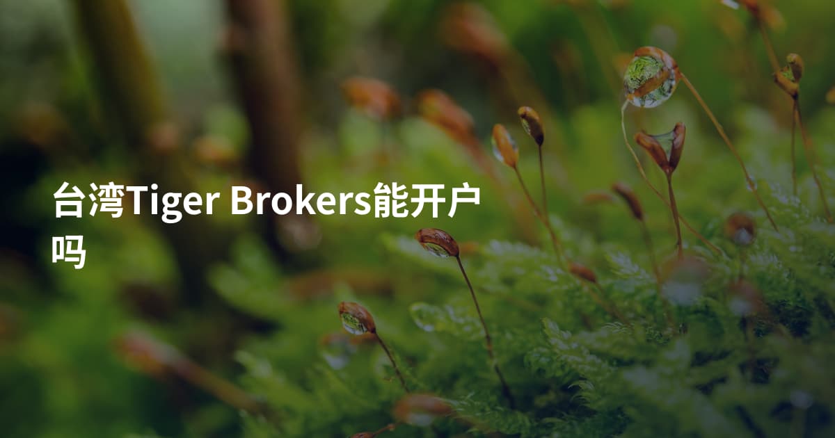 台湾Tiger Brokers能开户吗