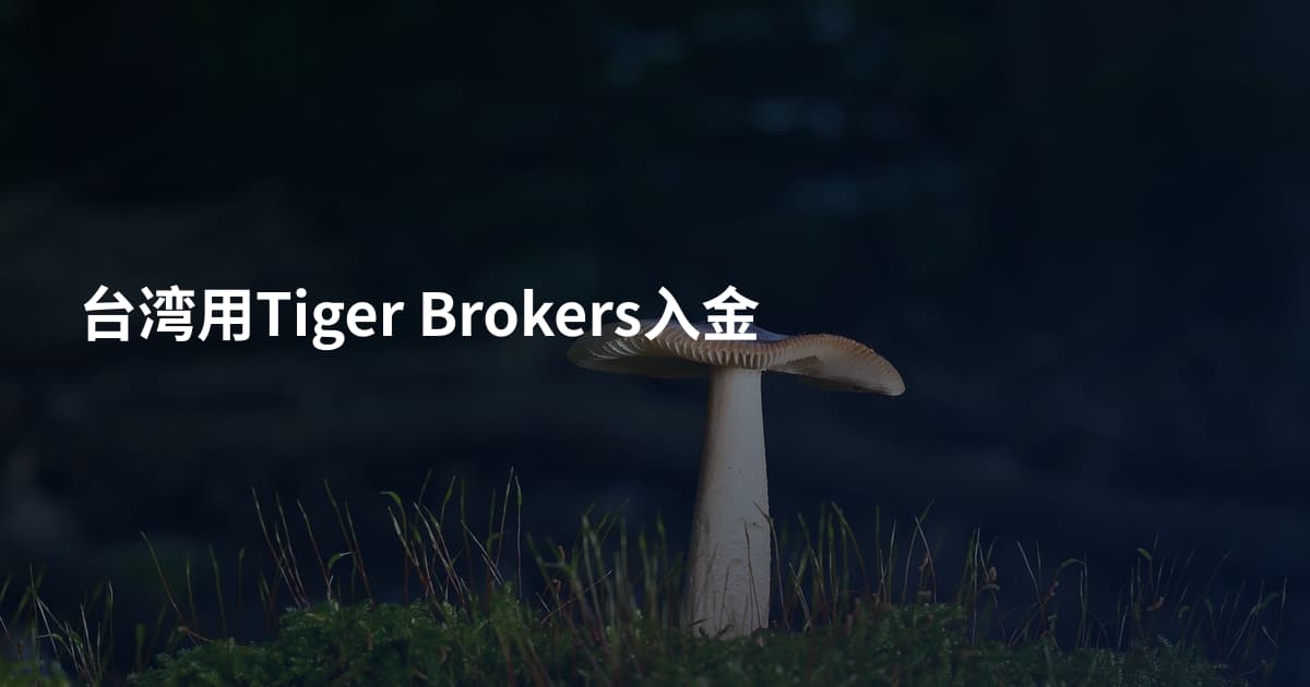 台湾用Tiger Brokers入金