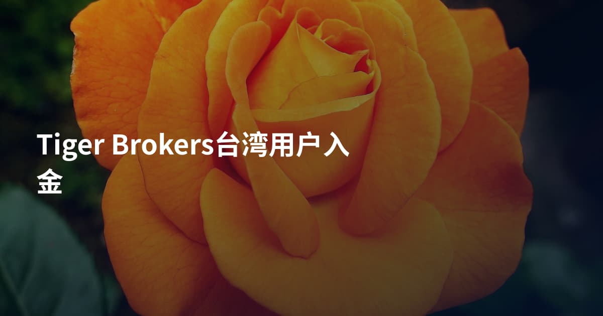 Tiger Brokers台湾用户入金
