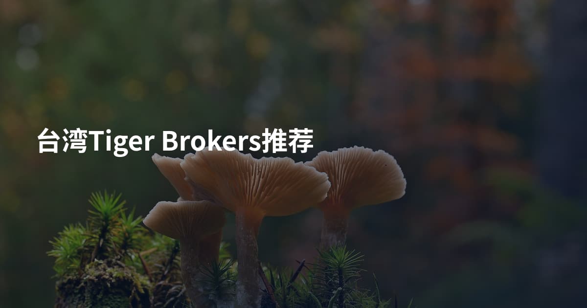 台湾Tiger Brokers推荐