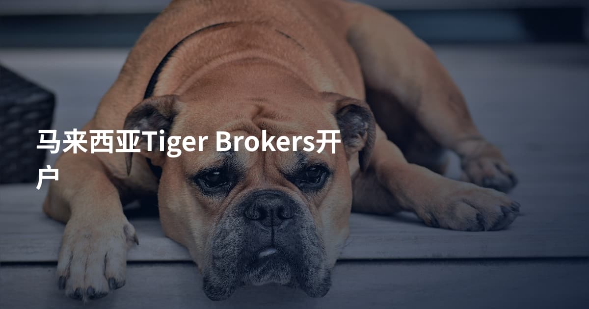 马来西亚Tiger Brokers开户