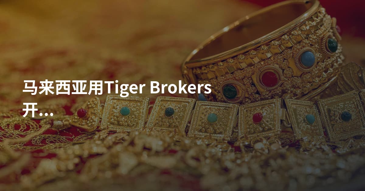 马来西亚用Tiger Brokers开户流程