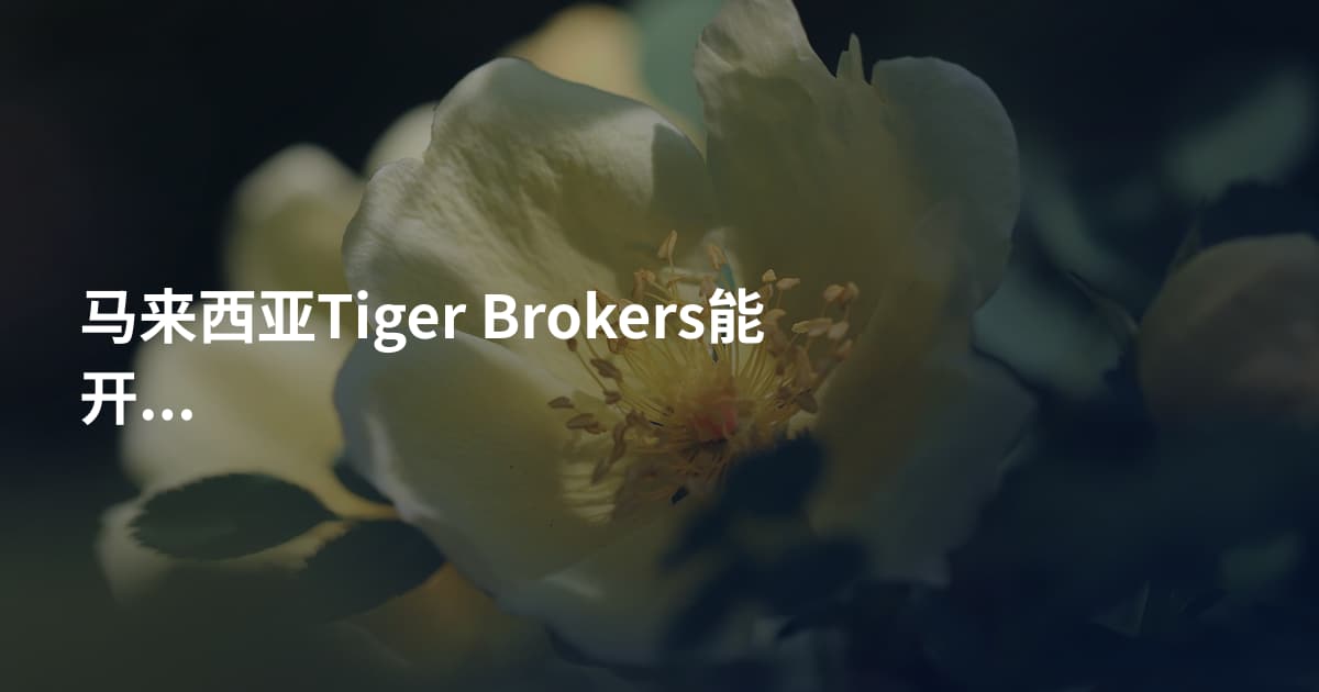 马来西亚Tiger Brokers能开户吗