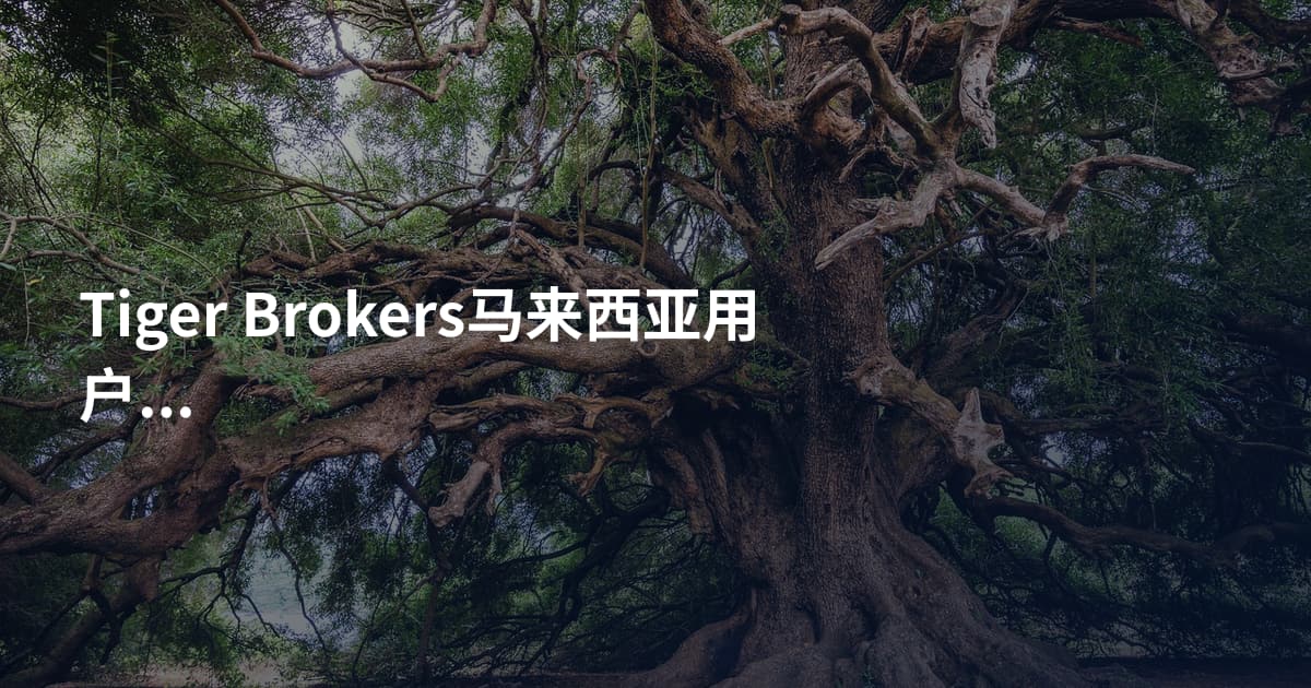 Tiger Brokers马来西亚用户能开户吗