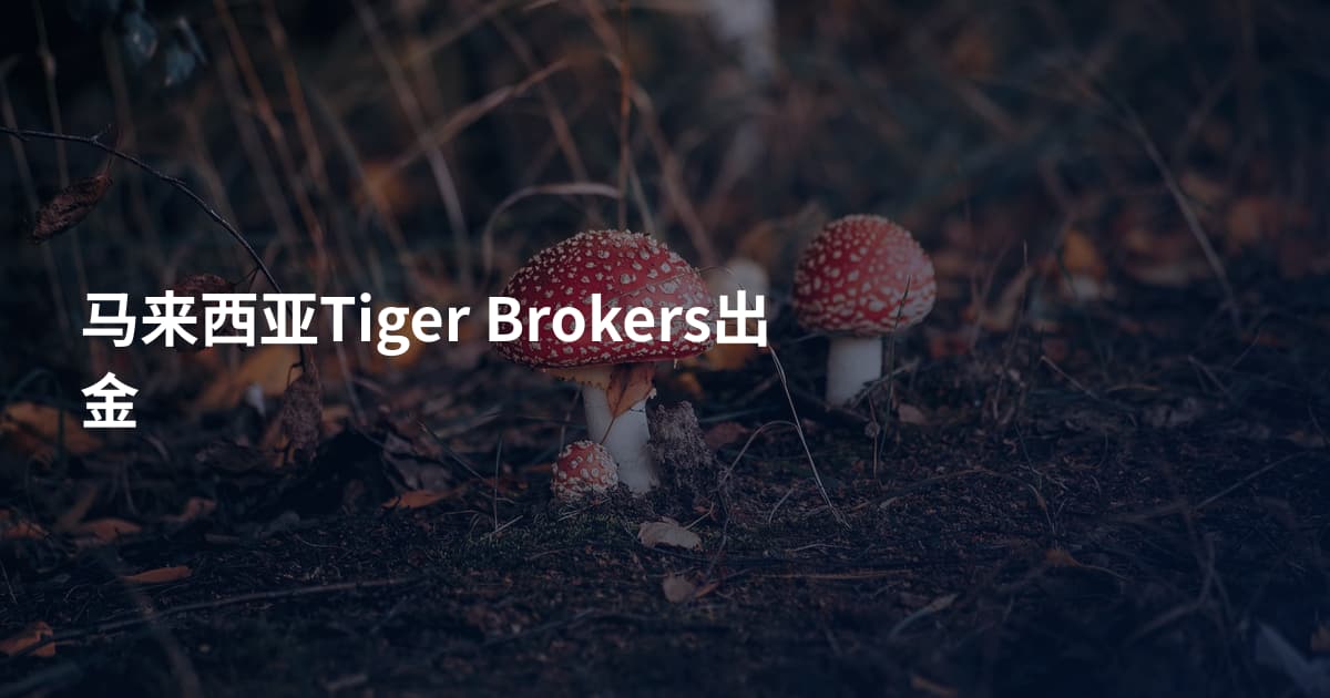 马来西亚Tiger Brokers出金