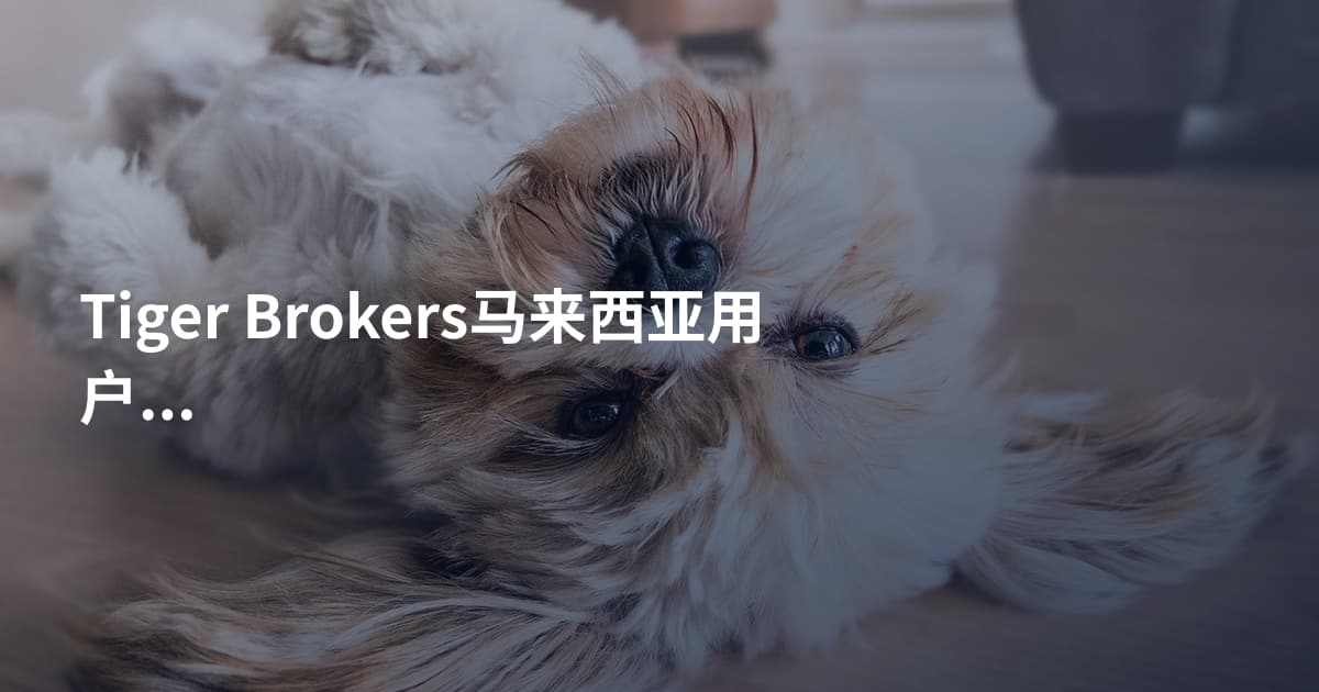 Tiger Brokers马来西亚用户用哪个平台