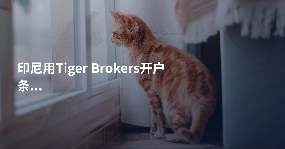 印尼用Tiger Brokers开户条件