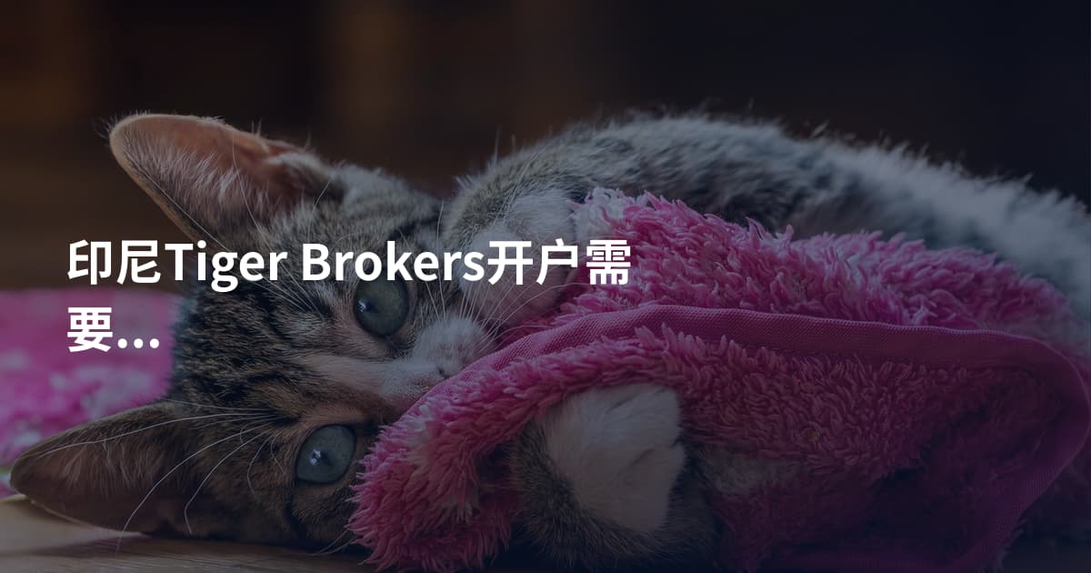 印尼Tiger Brokers开户需要什么