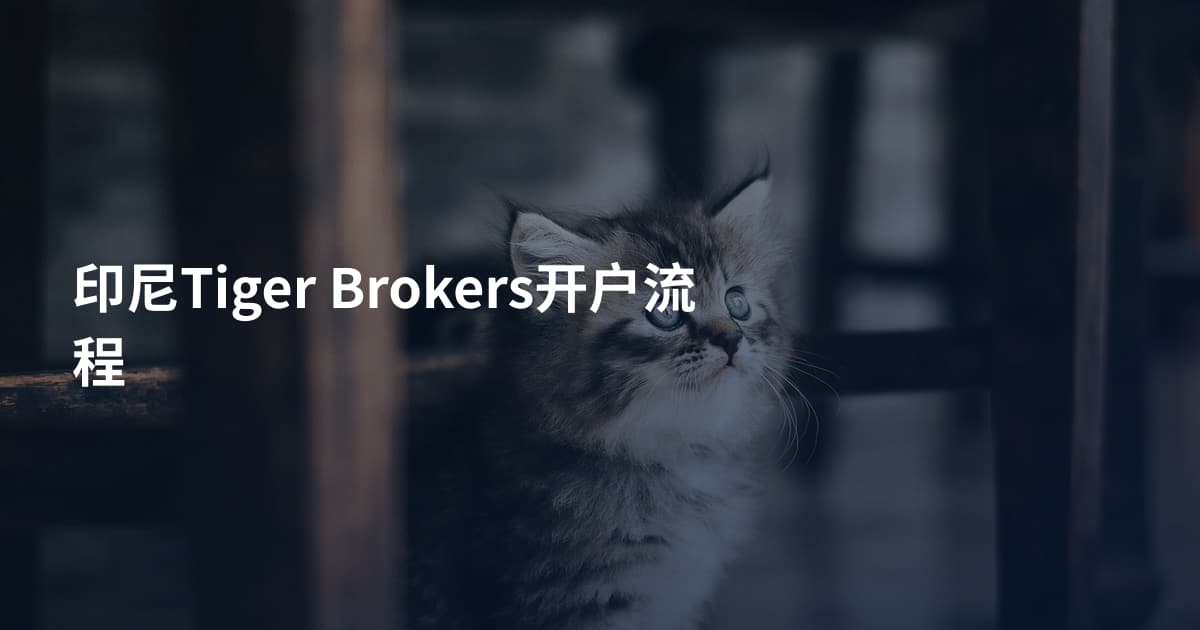 印尼Tiger Brokers开户流程