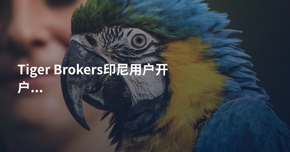 Tiger Brokers印尼用户开户流程