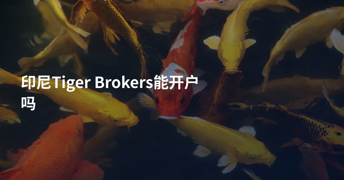 印尼Tiger Brokers能开户吗