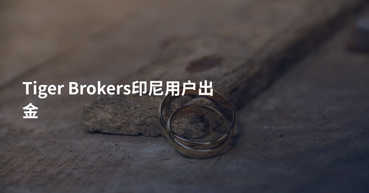 Tiger Brokers印尼用户出金