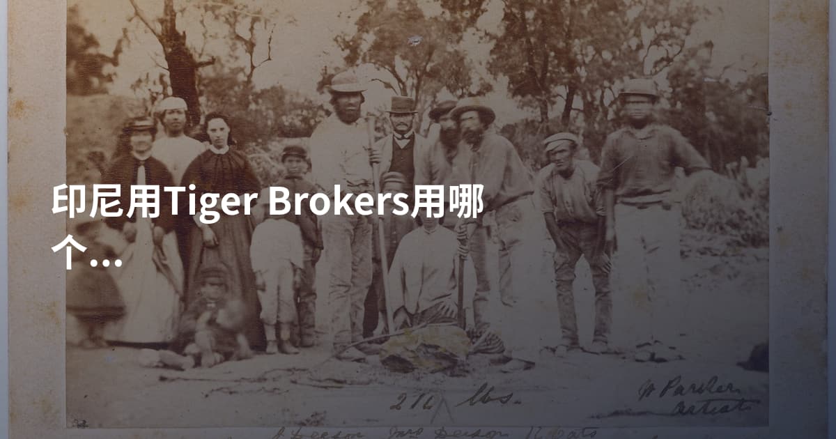 印尼用Tiger Brokers用哪个平台
