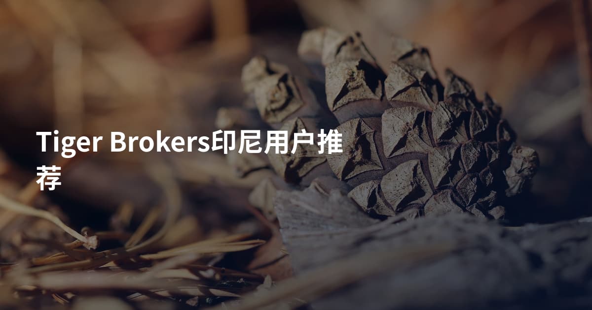 Tiger Brokers印尼用户推荐