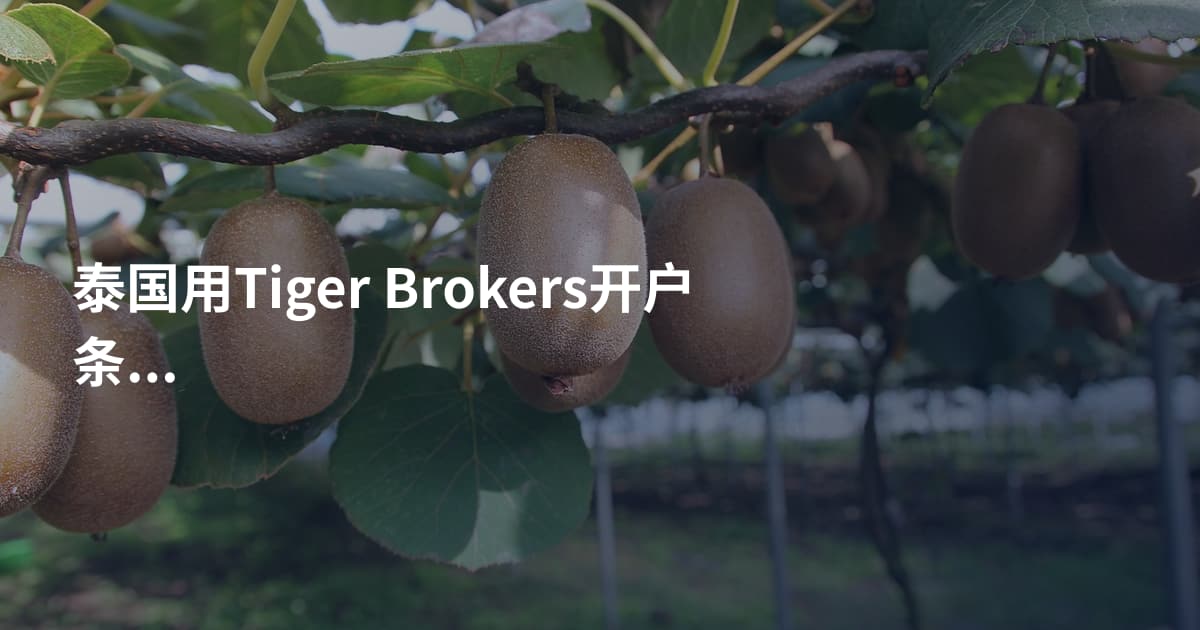 泰国用Tiger Brokers开户条件
