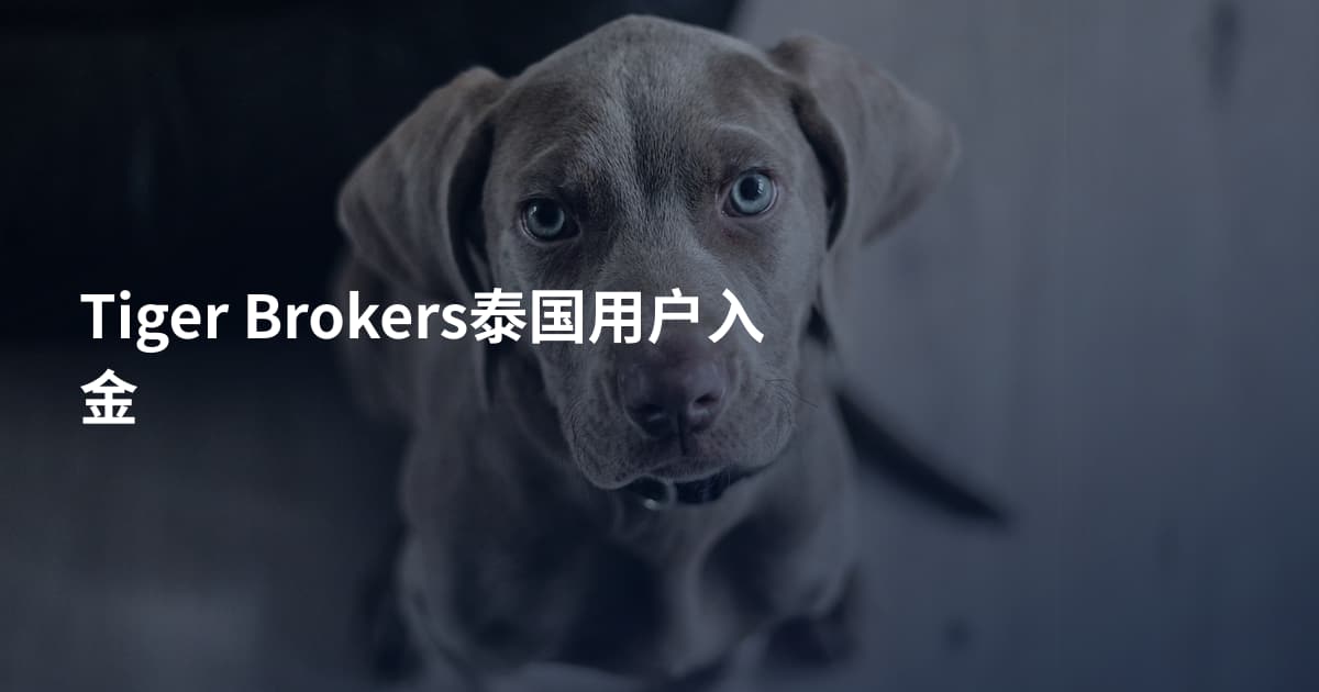Tiger Brokers泰国用户入金