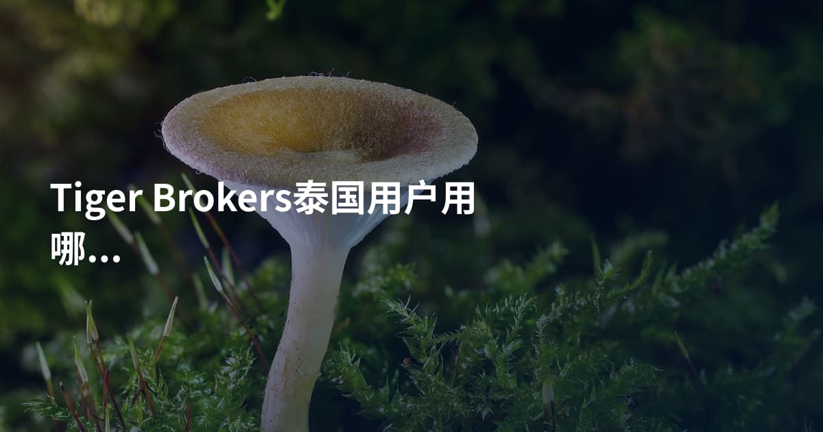Tiger Brokers泰国用户用哪个平台