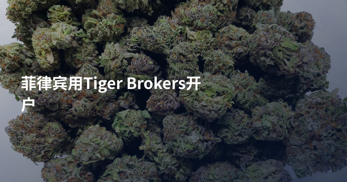 菲律宾用Tiger Brokers开户